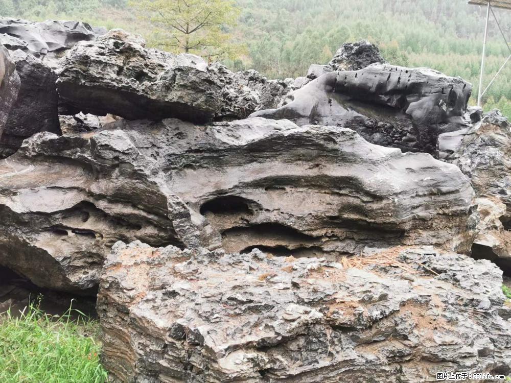 风景石、假山石大量有货，有需要的欢迎联系 - 新手上路 - 杭州生活社区 - 杭州28生活网 hz.28life.net