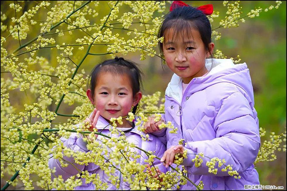 【春天，广西桂林灌阳县向您发出邀请！】米珠山前有片山苍子花在飘香 - 游山玩水 - 杭州生活社区 - 杭州28生活网 hz.28life.net