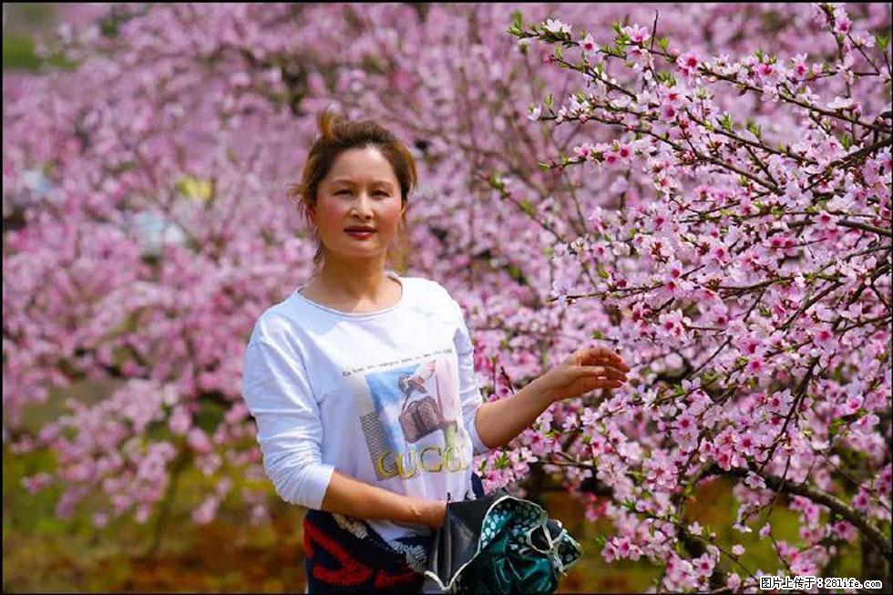 【春天，广西桂林灌阳县向您发出邀请！】官庄村有个醉美的桃花园 - 游山玩水 - 杭州生活社区 - 杭州28生活网 hz.28life.net