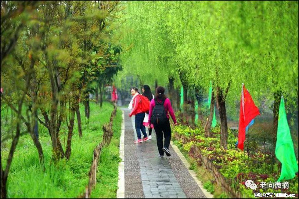【春天，广西桂林灌阳县向您发出邀请！】江口老街又逢春 - 游山玩水 - 杭州生活社区 - 杭州28生活网 hz.28life.net