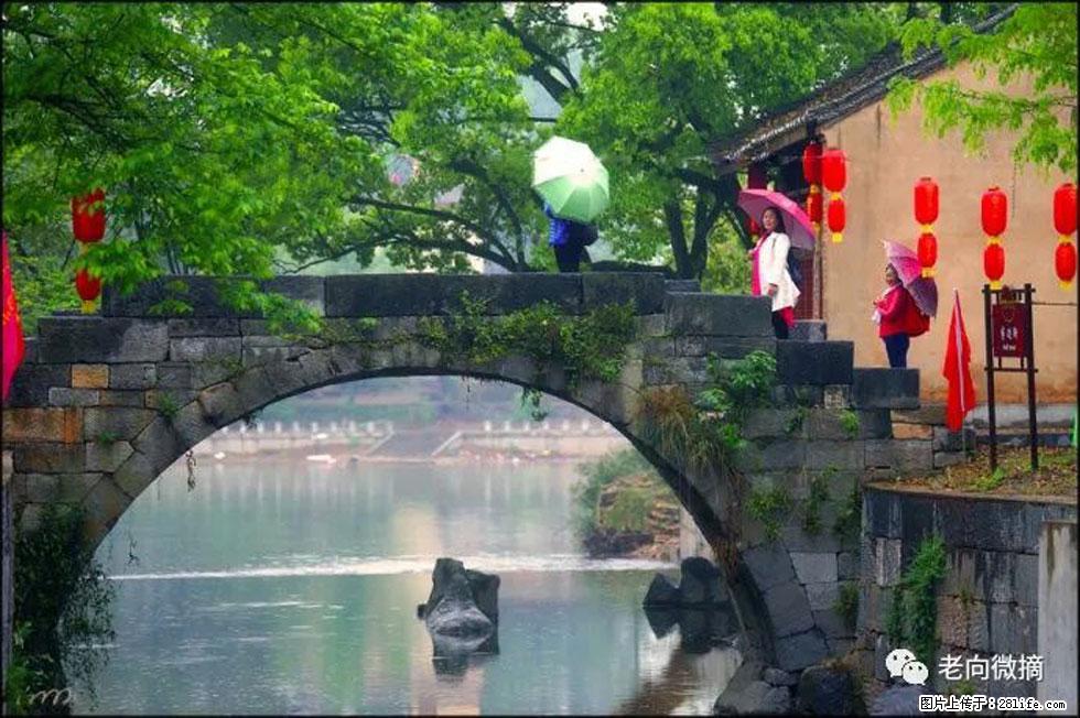 【春天，广西桂林灌阳县向您发出邀请！】江口老街又逢春 - 游山玩水 - 杭州生活社区 - 杭州28生活网 hz.28life.net