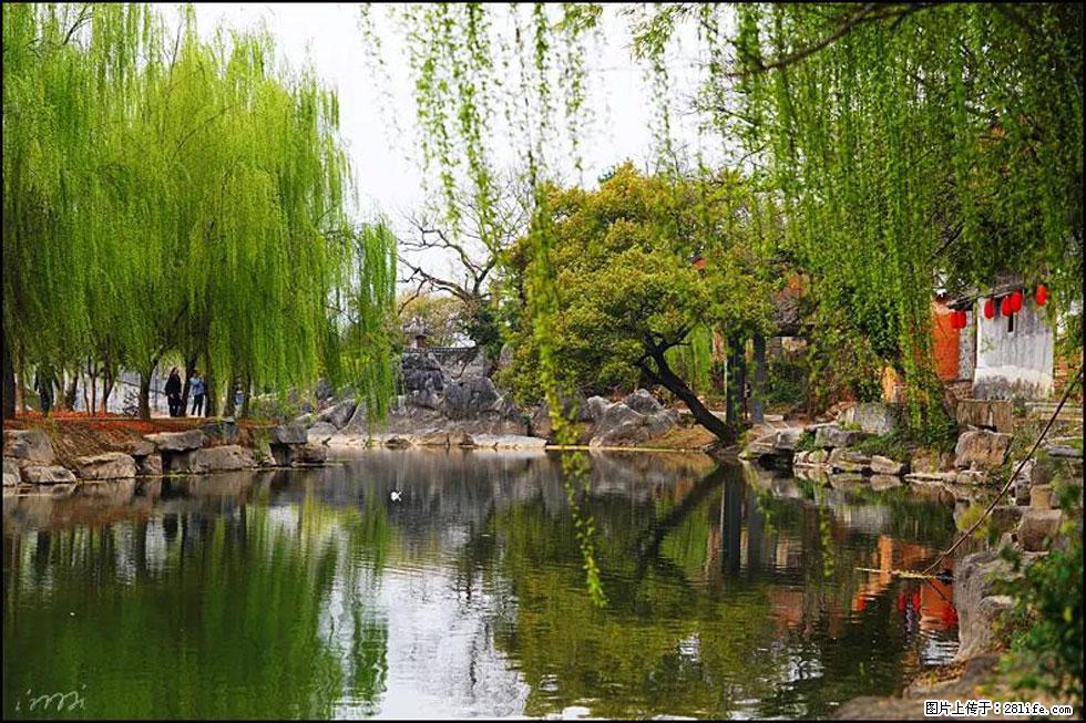 【春天，广西桂林灌阳县向您发出邀请！】江口老街又逢春 - 游山玩水 - 杭州生活社区 - 杭州28生活网 hz.28life.net