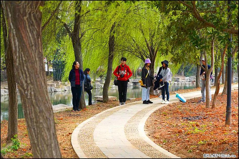 【春天，广西桂林灌阳县向您发出邀请！】江口老街又逢春 - 游山玩水 - 杭州生活社区 - 杭州28生活网 hz.28life.net
