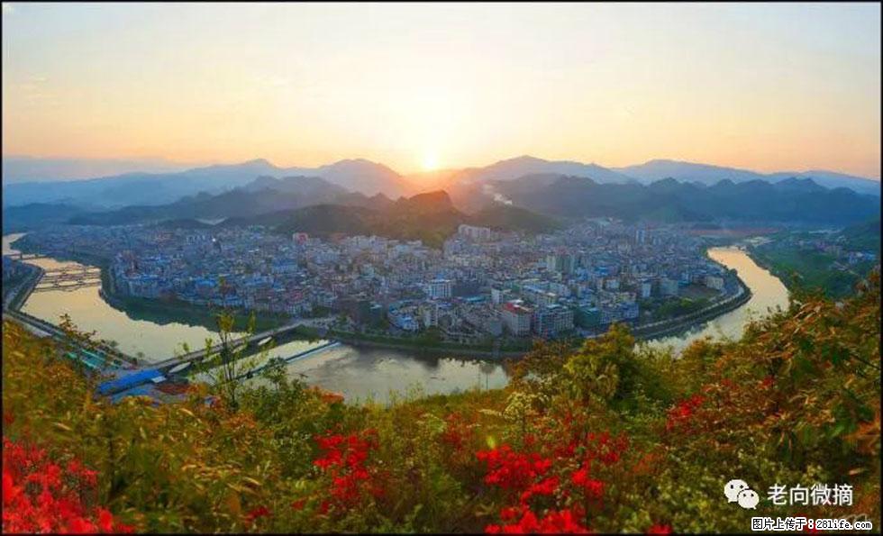 【春天，广西桂林灌阳县向您发出邀请！】登麒麟山，相约映山红 - 游山玩水 - 杭州生活社区 - 杭州28生活网 hz.28life.net