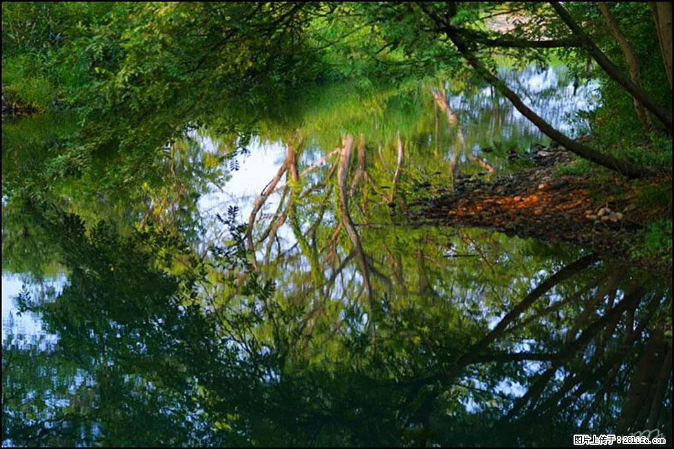 【春天，广西桂林灌阳县向您发出邀请！】熊家寨湿地公园 - 游山玩水 - 杭州生活社区 - 杭州28生活网 hz.28life.net