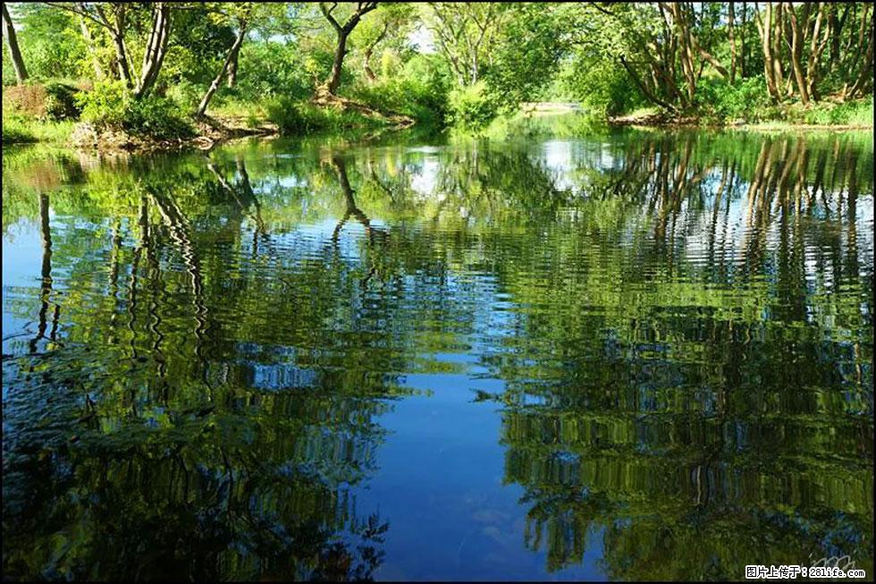 【春天，广西桂林灌阳县向您发出邀请！】熊家寨湿地公园 - 游山玩水 - 杭州生活社区 - 杭州28生活网 hz.28life.net