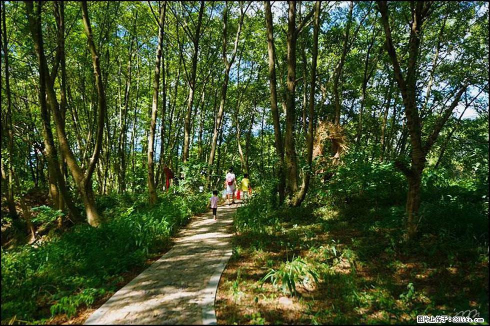 【春天，广西桂林灌阳县向您发出邀请！】熊家寨湿地公园 - 游山玩水 - 杭州生活社区 - 杭州28生活网 hz.28life.net