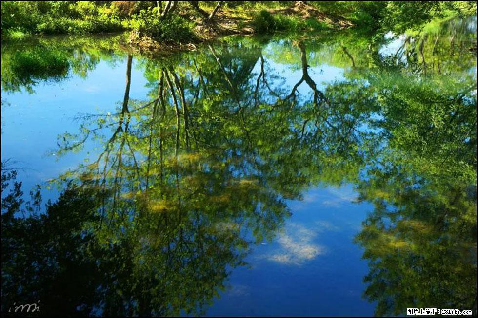【春天，广西桂林灌阳县向您发出邀请！】熊家寨湿地公园 - 游山玩水 - 杭州生活社区 - 杭州28生活网 hz.28life.net
