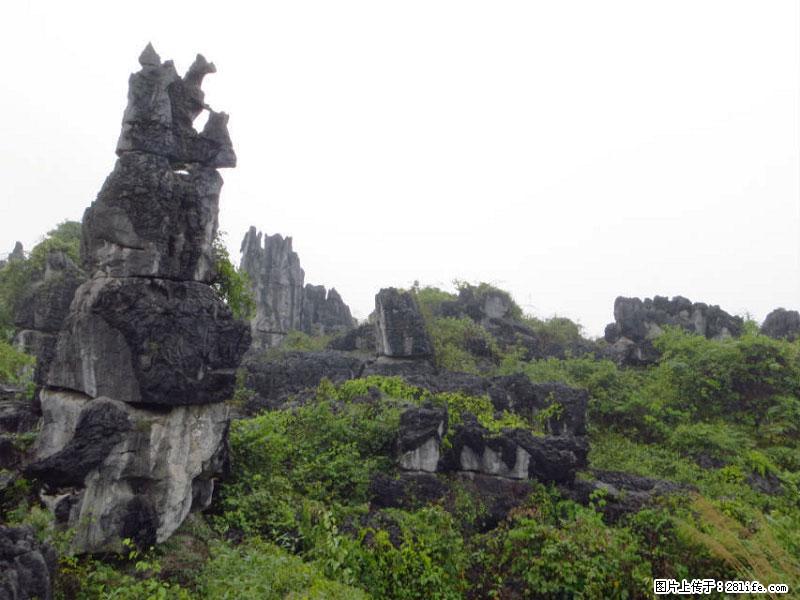 桂林旅游名城景点：灌阳文市石林 - 游山玩水 - 杭州生活社区 - 杭州28生活网 hz.28life.net