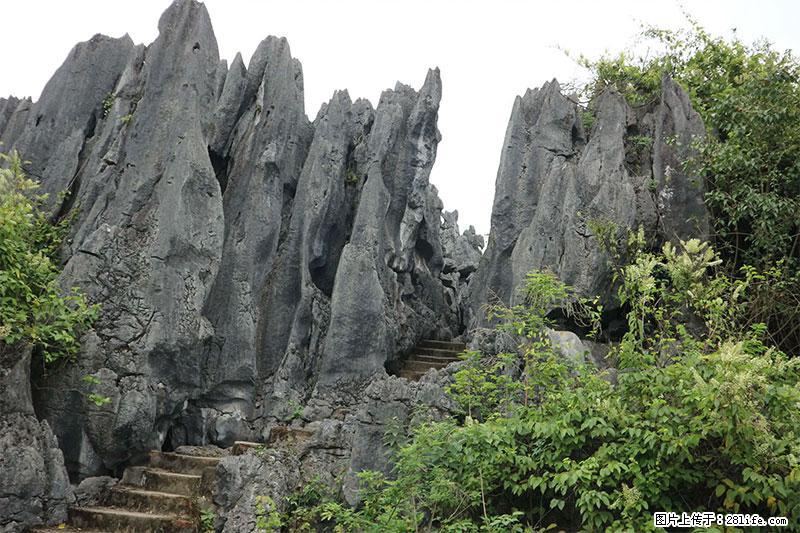桂林旅游名城景点：灌阳文市石林 - 游山玩水 - 杭州生活社区 - 杭州28生活网 hz.28life.net