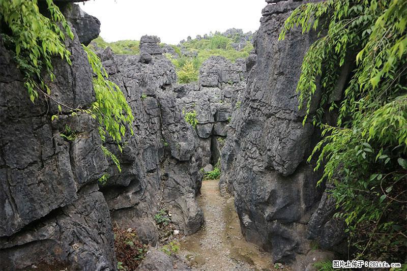 桂林旅游名城景点：灌阳文市石林 - 游山玩水 - 杭州生活社区 - 杭州28生活网 hz.28life.net
