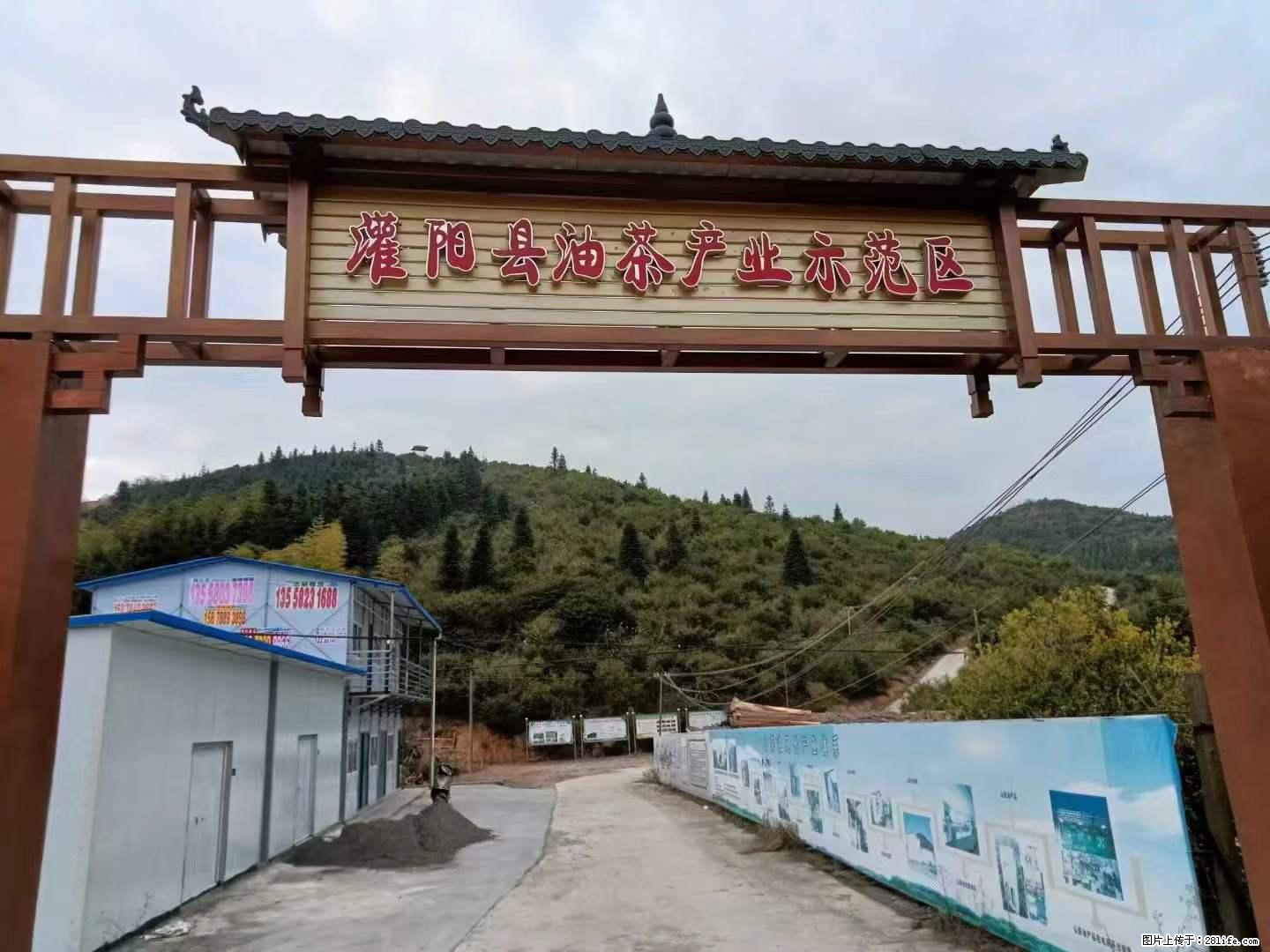 【灌阳县油茶产业示范区】一个有着充实的精神生活的人，对待身外之物自会有一种淡泊的态度 - 土特产 - 饮食特产 - 杭州分类信息 - 杭州28生活网 hz.28life.net