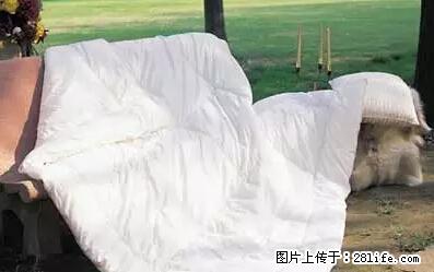 被子有异味？只要这样做，比晒太阳还强100倍！ - 家居生活 - 杭州生活社区 - 杭州28生活网 hz.28life.net