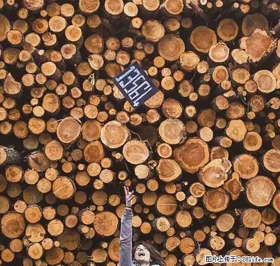 辞掉工作周游世界？现在他们在洗厕所…… - 游山玩水 - 杭州生活社区 - 杭州28生活网 hz.28life.net