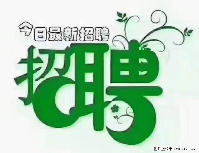 【招聘摄像师】待遇：试用期6000元/月，转正7000元/月+五险一金+餐补+节日福利+奖金 - 其他招聘信息 - 招聘求职 - 杭州分类信息 - 杭州28生活网 hz.28life.net