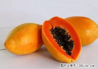 晕车、脚气、牙齿变黄、皮肤粗糙？学会这些三分钟搞定！ - 杭州生活资讯 - 杭州28生活网 hz.28life.net