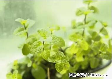 晕车、脚气、牙齿变黄、皮肤粗糙？学会这些三分钟搞定！ - 杭州生活资讯 - 杭州28生活网 hz.28life.net