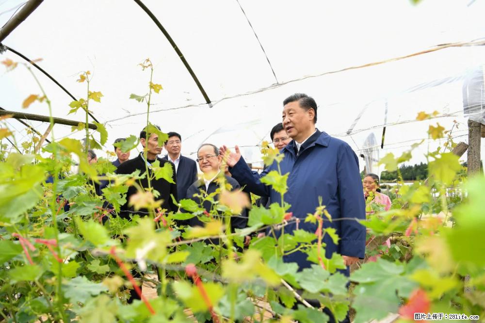 习近平赴广西考察调研 - 杭州生活资讯 - 杭州28生活网 hz.28life.net