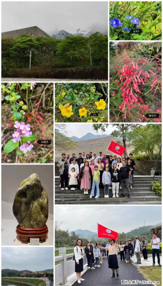 “粤灌文化 美好生活”油茶文化主题活动在广东深圳成功举办 - 杭州生活资讯 - 杭州28生活网 hz.28life.net