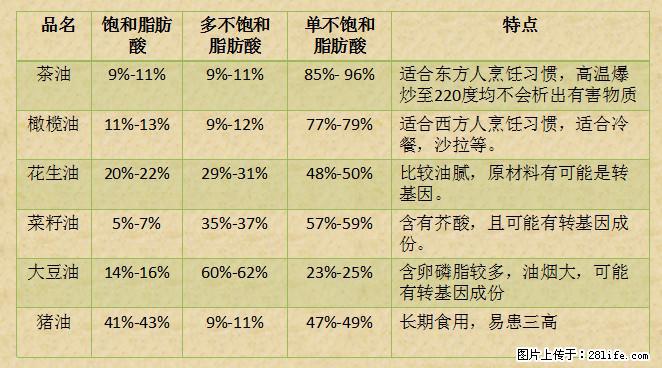 揭秘茶油的5大核心营养成分！被称为人体健康的“守护盾”！ - 杭州生活资讯 - 杭州28生活网 hz.28life.net