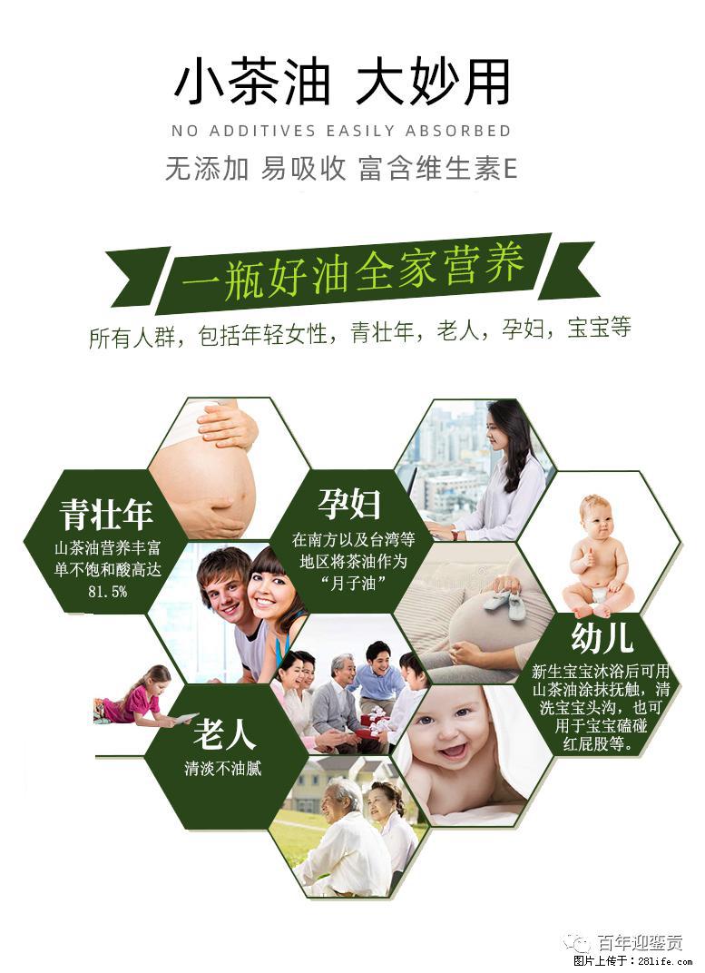 世界没有真相，只有认知，最好的食用油是中国的山茶油！ - 杭州生活资讯 - 杭州28生活网 hz.28life.net