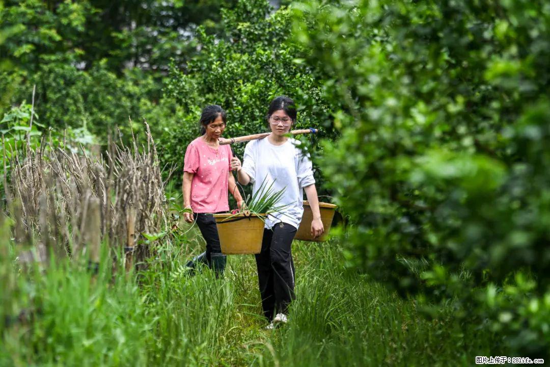全网追的“扁担女孩”，找了一份暑假工，时薪12元 - 杭州生活资讯 - 杭州28生活网 hz.28life.net