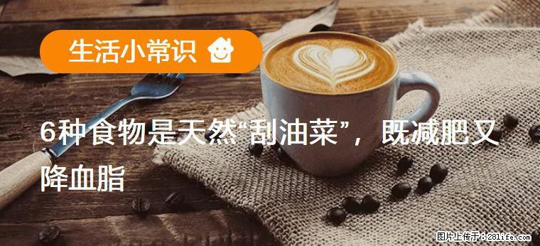 【生活小常识】6种食物是天然“刮油菜”，既减肥又降血脂 - 杭州生活资讯 - 杭州28生活网 hz.28life.net