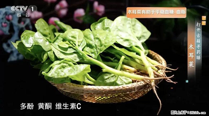 比牛奶补钙还厉害！凉血解毒、稳血糖...这菜冬天必吃，很多人却当草 - 杭州生活资讯 - 杭州28生活网 hz.28life.net