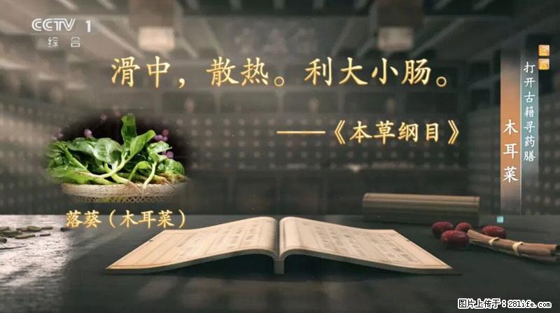 比牛奶补钙还厉害！凉血解毒、稳血糖...这菜冬天必吃，很多人却当草 - 杭州生活资讯 - 杭州28生活网 hz.28life.net