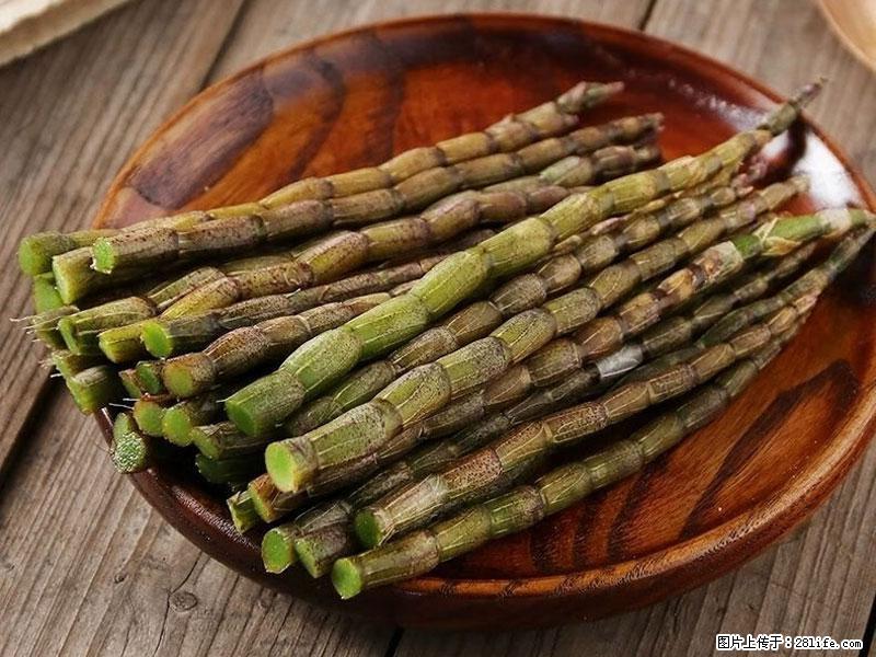 铁皮石斛的作用与功能主治 - 杭州生活资讯 - 杭州28生活网 hz.28life.net