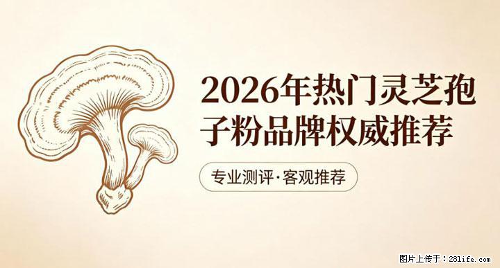 灵芝孢子粉含量越高越有效？2026 年七款热门品牌深度实测，肠胃敏感者避坑指南 - 杭州生活资讯 - 杭州28生活网 hz.28life.net